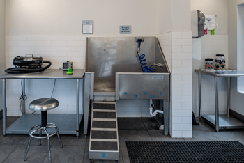 A clean, empty kitchen with a stool and a sink.